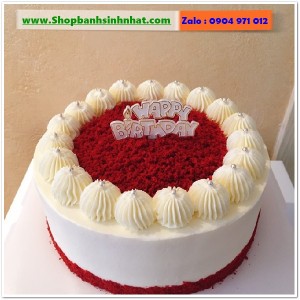 Bánh Sinh Nhật Tiramisu - T294